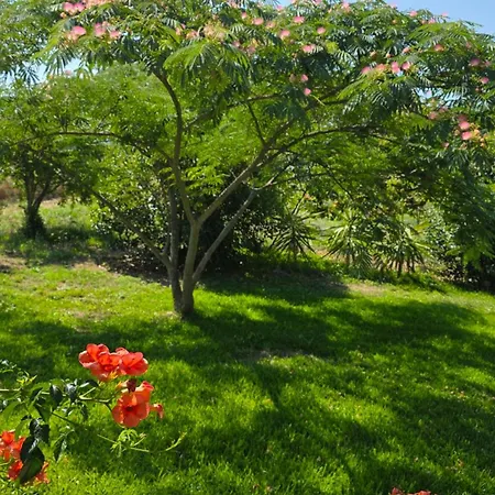 Anemos House Halkidiki * سيكيا